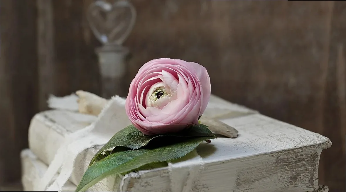 books, old, romance, literature, used, historically, antique, antiquariat, worn, transience, collection, bound, reading,